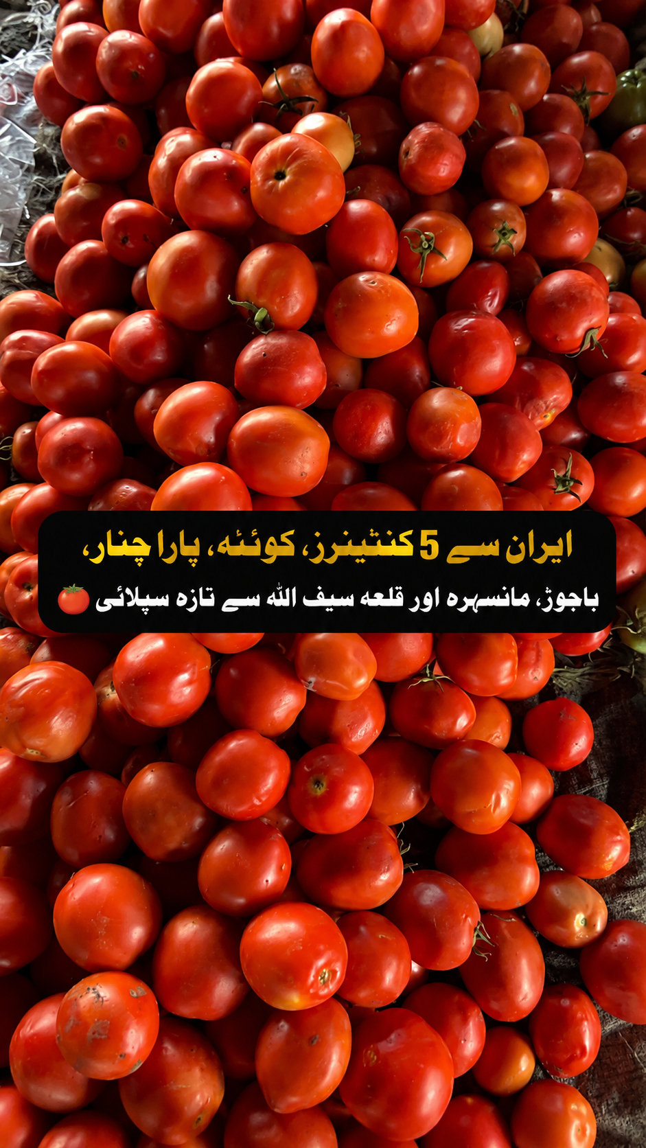 اسلام آباد سبزی منڈی: ٹماٹر کی قیمتوں میں معمولی اضافہ، 5 ایرانی کنٹینرز پہنچ گئے