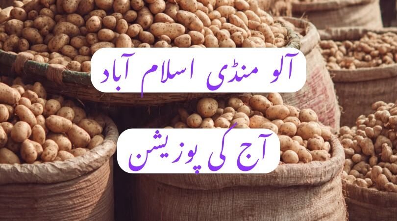 اسلام آباد سبزی منڈی میں آلو کی قیمتوں میں کمی، 52 گاڑیوں کی آمد سے مارکیٹ دباؤ کا شکار