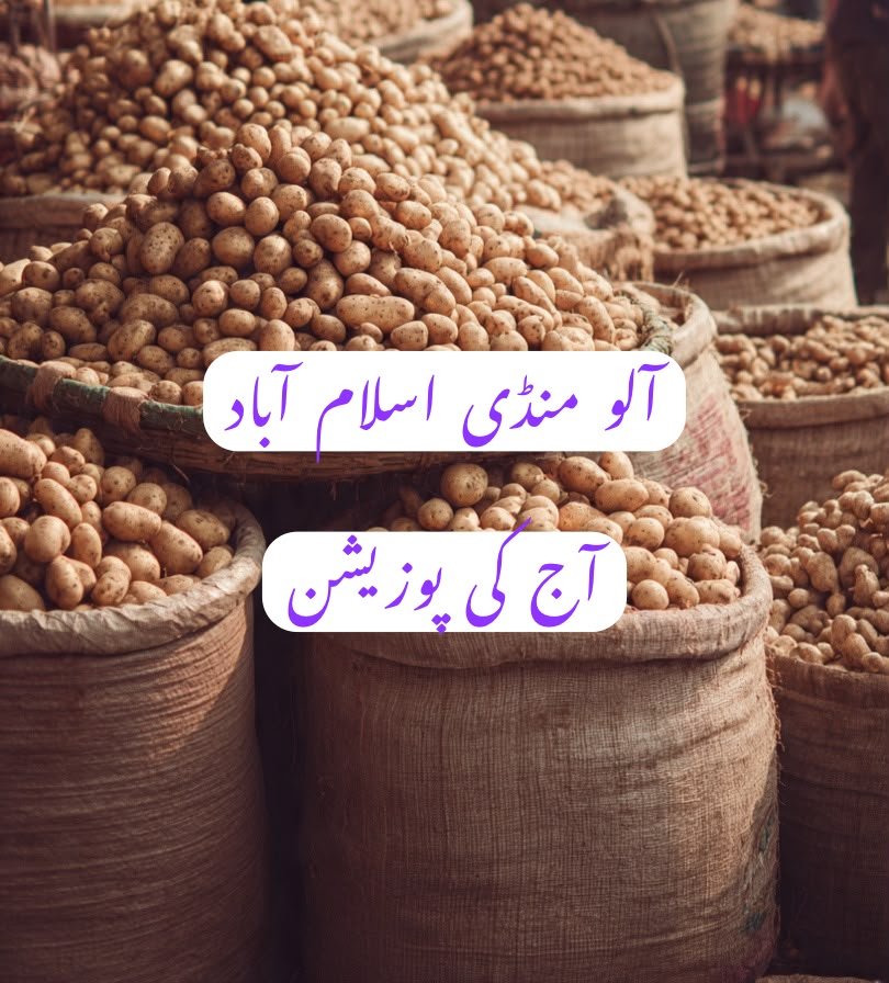اسلام آباد سبزی منڈی میں آلو کی قیمتوں میں کمی، 52 گاڑیوں کی آمد سے مارکیٹ دباؤ کا شکار