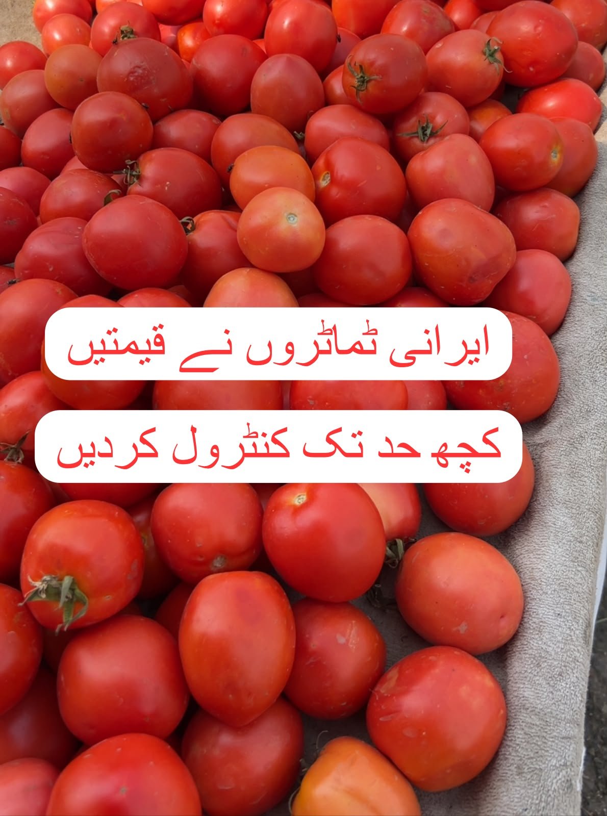 ایرانی ٹماٹروں نے گیم بدل دی، اسلام آباد منڈی میں قیمتیں کسی حد تک کنٹرول – 28 جولائی 2026
