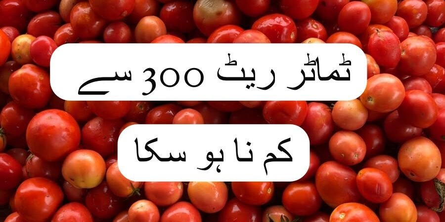 اسلام آباد سبزی منڈی میں ٹماٹر کی مارکیٹ کسانوں کے حق میں، پرچون ریٹ 300 روپے سے نیچے نہ آ سکا