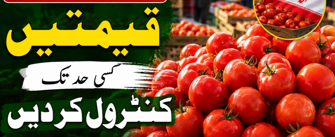 اسلام آباد سبزی منڈی: ایرانی ٹماٹروں نے قیمتیں کسی حد تک کنٹرول کر دیں | 7 اگست 2026