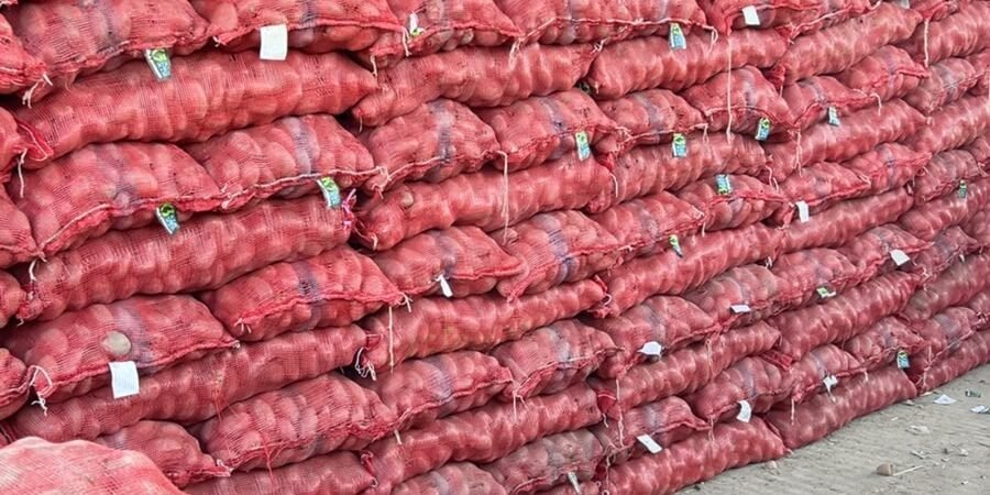 اسلام آباد منڈی میں آلو کی 54 گاڑیاں، اچھے آلو کی گاڑیاں 2,000 روپے تک
