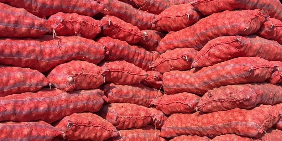 اسلام آباد منڈی میں پیاز کی بارش، 75 گاڑیوں کی آمد، کابل پیاز کی 30 گاڑیاں