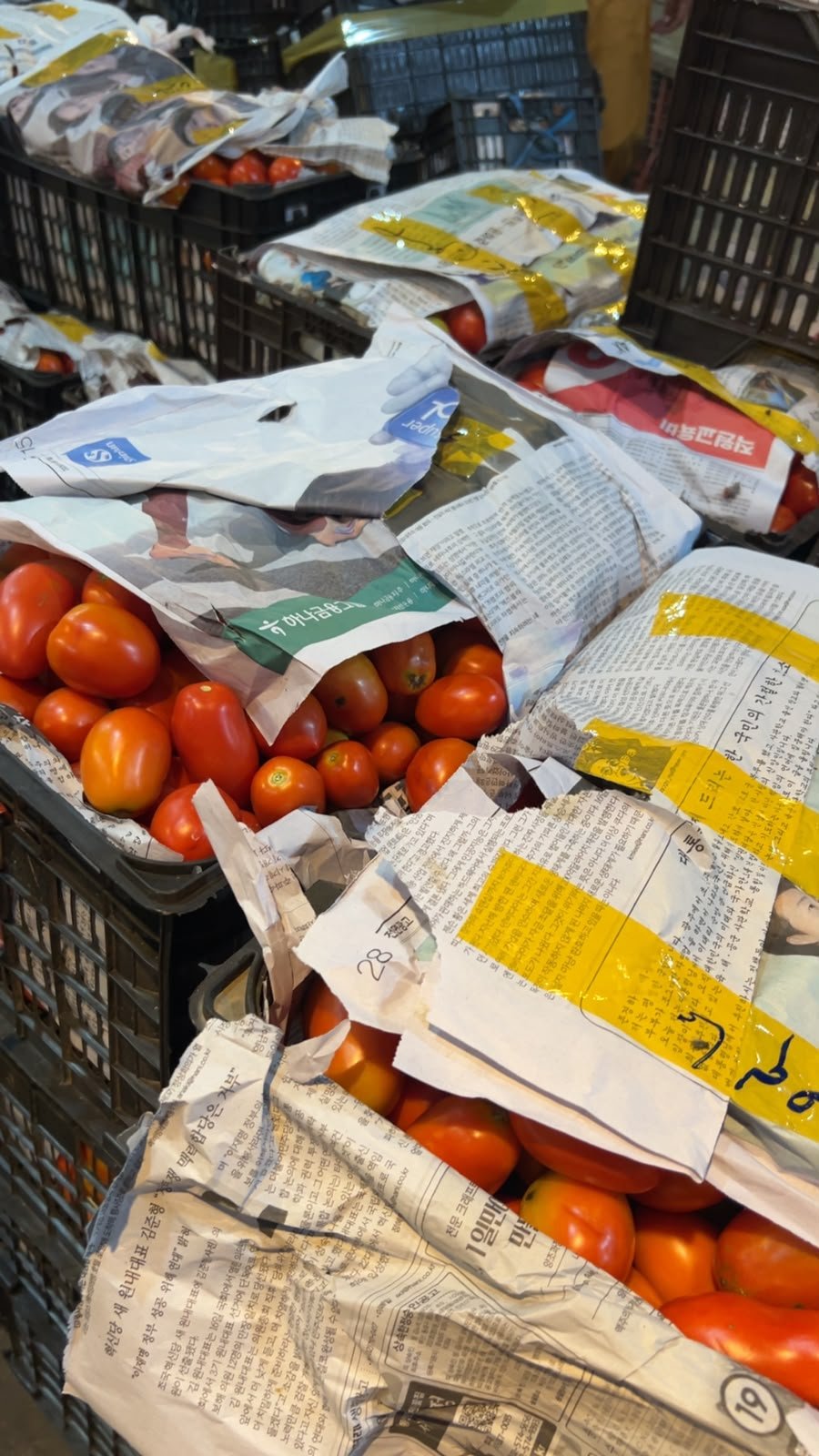 1 اکتوبر: رات کی بولی میں ایرانی ٹماٹر نہیں، پاکستانی کسانوں کے لیے خوشخبری